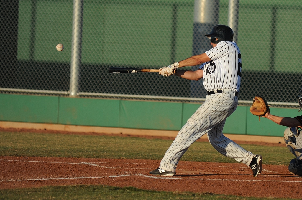 Seals_2019-08-23 (347).JPG - (c)2010 DeVetter